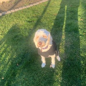 Meet your Posher, Kyle